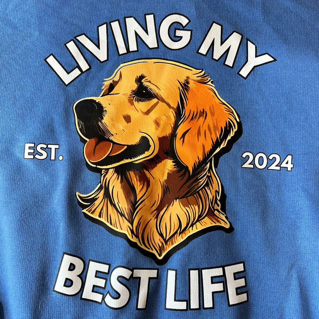 Denver Dog Days Vintage Hoodie