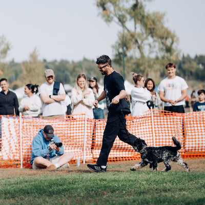 Denver Dog Days