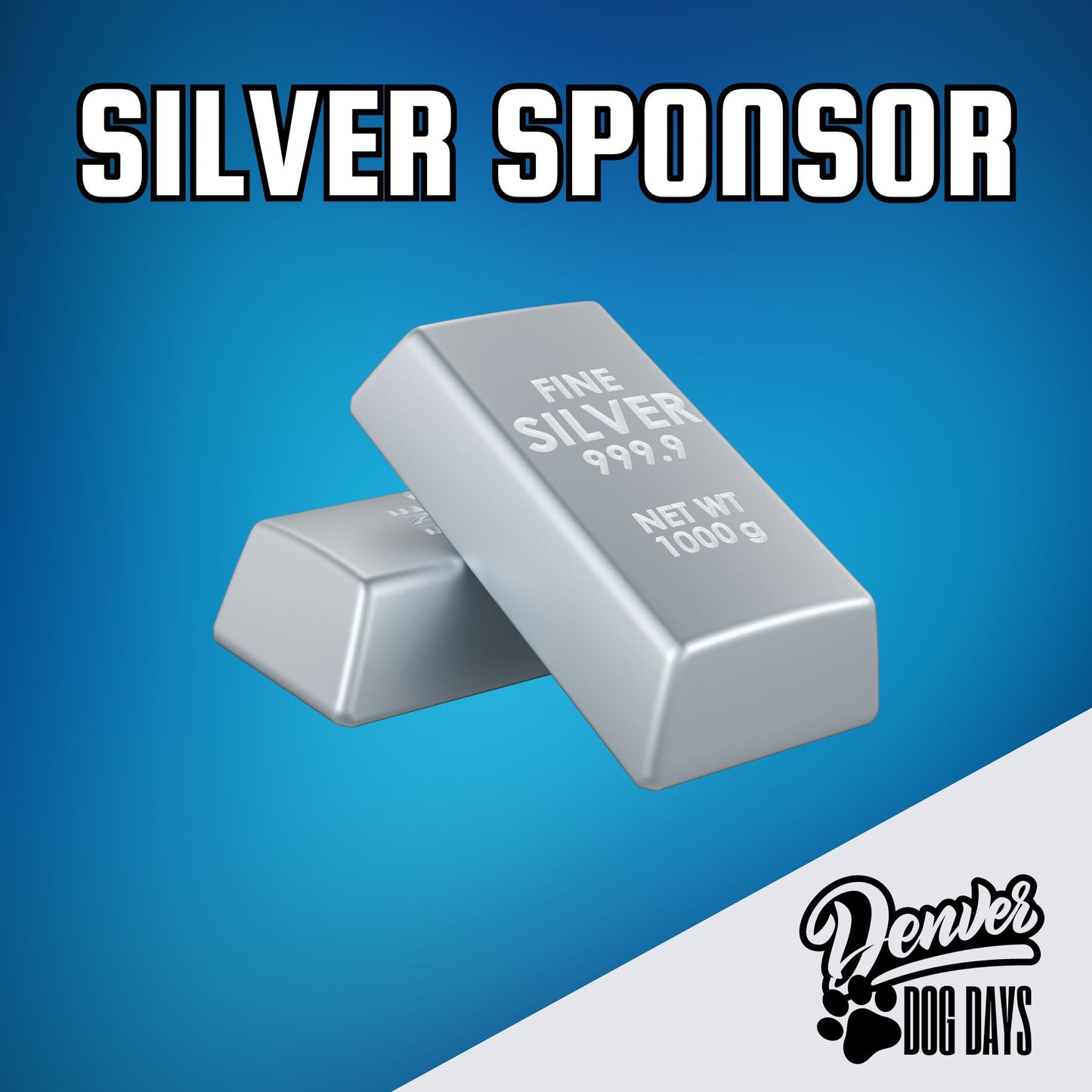 Silver Sponsorship 2025